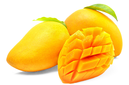 shape